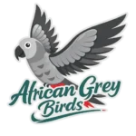africangreybirds